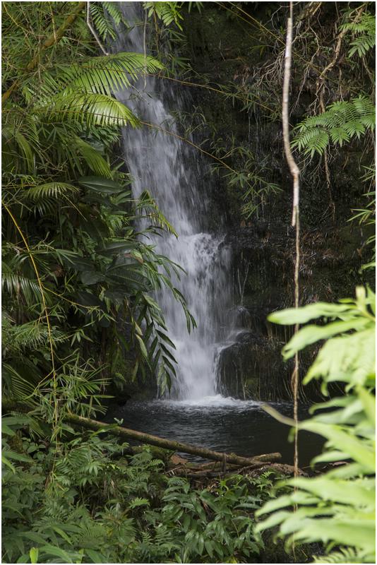 Akaka Falls