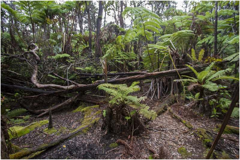 Hawaiʻi-Volcanoes-Nationalpark