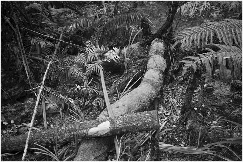 Hawaiʻi-Volcanoes-Nationalpark