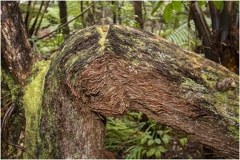 Hawaiʻi-Volcanoes-Nationalpark