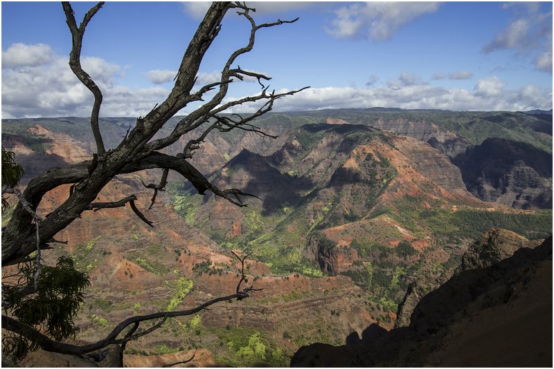 Waimea Canyon