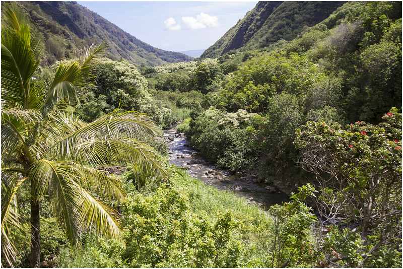 Iao Valley