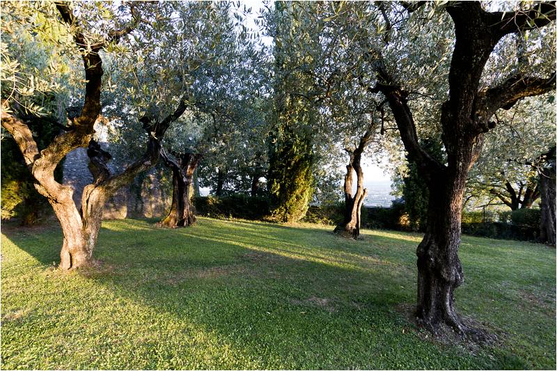 Pistoia