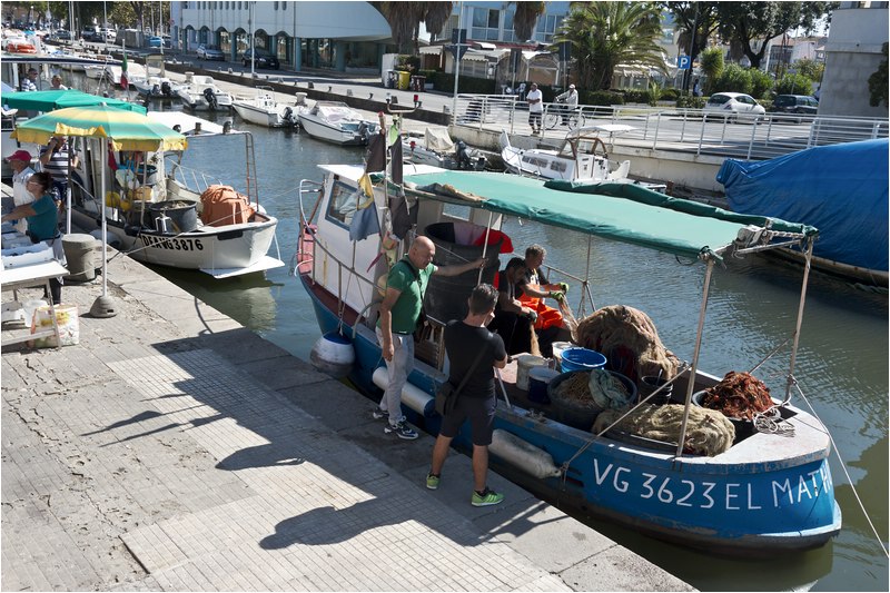 Viareggio