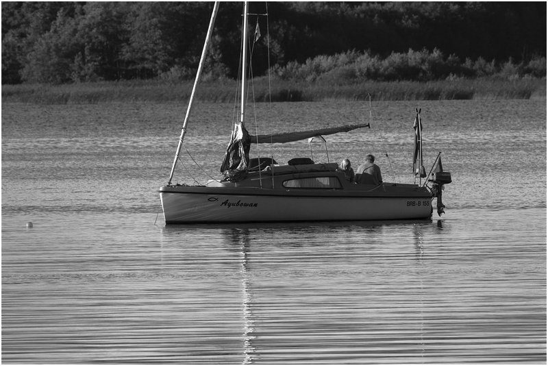 Havel