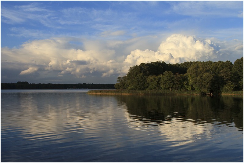 Havel